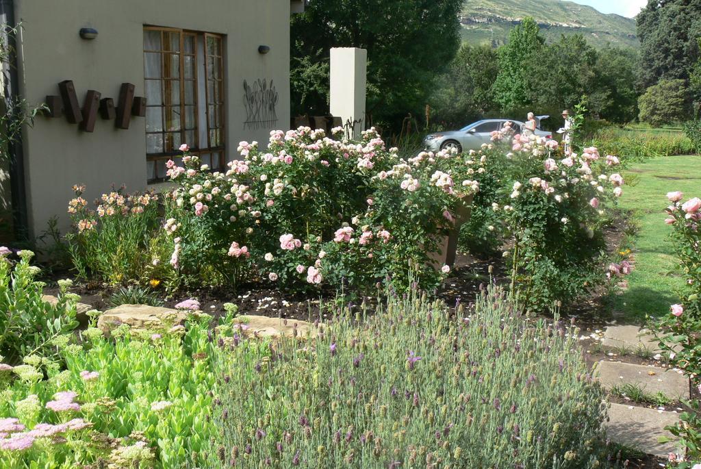 Aspen Guest House Кларенс Екстериор снимка