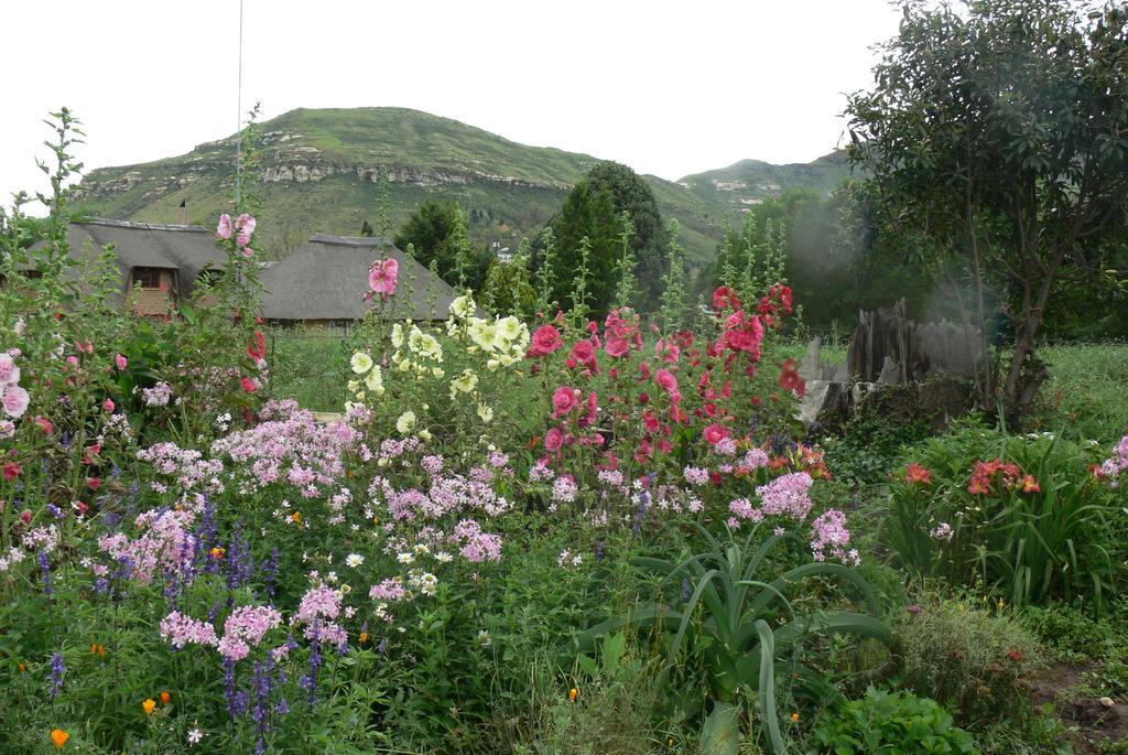 Aspen Guest House Кларенс Екстериор снимка